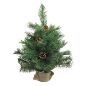 18" Unlit Medium Royal Oregon Pine Burlap Base Artificial Christmas Tree
