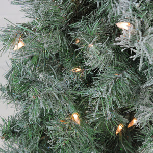 32915359-GREEN Holiday/Christmas/Christmas Trees