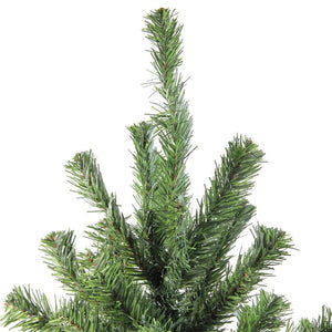 32614953-GREEN Holiday/Christmas/Christmas Trees