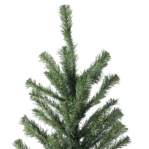 32618582-GREEN Holiday/Christmas/Christmas Trees