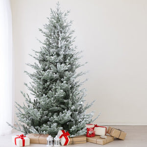 34723579-GREEN Holiday/Christmas/Christmas Trees