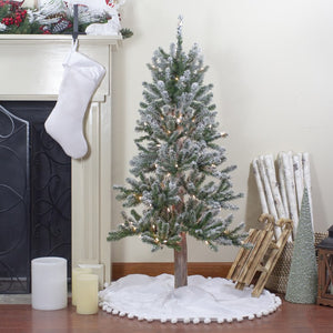 34295659-GREEN Holiday/Christmas/Christmas Trees
