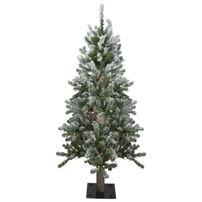34295659-GREEN Holiday/Christmas/Christmas Trees
