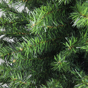 32913206-GREEN Holiday/Christmas/Christmas Trees