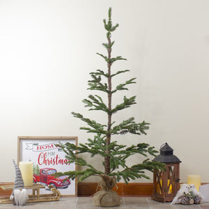 34316719-GREEN Holiday/Christmas/Christmas Trees