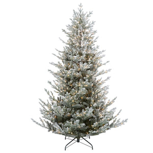 34723582-GREEN Holiday/Christmas/Christmas Trees