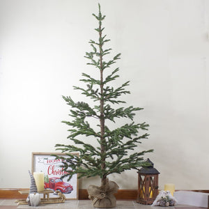34316720-GREEN Holiday/Christmas/Christmas Trees