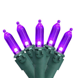 50-Count Purple LED Mini Christmas Lights with 4" Spacing and Green Wire