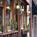 32605207-CLEAR Holiday/Christmas/Christmas Lights