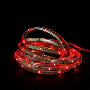 31348891-RED Holiday/Christmas/Christmas Lights