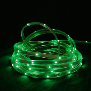 31348878-GREEN Holiday/Christmas/Christmas Lights