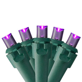 50-Count Purple LED Wide-Angle Christmas Lights with 16.25' Green Wire