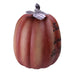 32915455-ORANGE Holiday/Thanksgiving & Fall/Thanksgiving & Fall Tableware and Decor