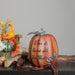 32915455-ORANGE Holiday/Thanksgiving & Fall/Thanksgiving & Fall Tableware and Decor