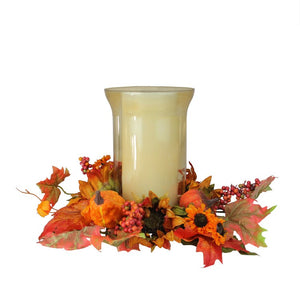 32275393-ORANGE Holiday/Thanksgiving & Fall/Thanksgiving & Fall Tableware and Decor