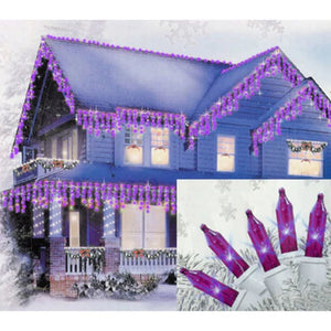 32601251-PURPLE Holiday/Christmas/Christmas Lights