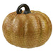 34338778-ORANGE Holiday/Thanksgiving & Fall/Thanksgiving & Fall Tableware and Decor