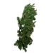 P60240LEDWW Holiday/Christmas/Christmas Wreaths & Garlands & Swags