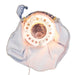 UL2228 Holiday/Christmas/Christmas Ornaments and Tree Toppers