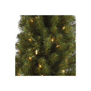 A116043 Holiday/Christmas/Christmas Trees
