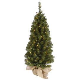 42" x 20" Pre-Lit Artificial Felton Pine with 100 Clear Lights