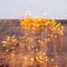 AD1042CLW Holiday/Christmas/Christmas Lights