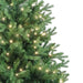 TR60500LEDWW Holiday/Christmas/Christmas Trees