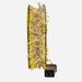 AD1037WW Holiday/Christmas/Christmas Lights
