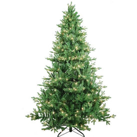 7-Foot Pre-Lit Clear Incandescent Jackson Pine Tree
