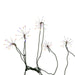 AD1039M Holiday/Christmas/Christmas Lights