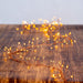 AD1040CLW Holiday/Christmas/Christmas Lights
