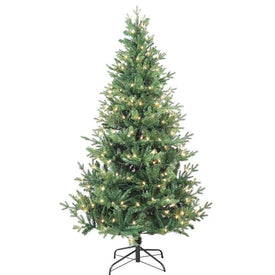 6-Foot Pre-Lit Clear Incandescent Jackson Pine Tree