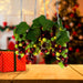 AD1013A Holiday/Christmas/Christmas Lights