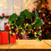AD1013A Holiday/Christmas/Christmas Lights