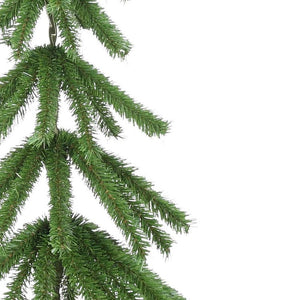 TR2386 Holiday/Christmas/Christmas Trees
