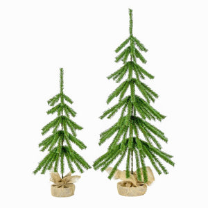 TR2386 Holiday/Christmas/Christmas Trees