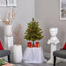 T1889 Holiday/Christmas/Christmas Trees