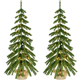 Artificial Tree Set of 2 Downswept Farmhouse Fir In Burlap Bag Warm White Lights 4H Feet Green Christmas