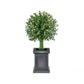 24" Pre-Lit Artificial Boxwood Single-Ball Artificial Boxwood Topiary in Black Pot with Battery-Operated Warm White LED Lights