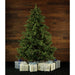 CT-VF075-SL Holiday/Christmas/Christmas Trees