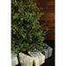 CT-VF075-SL Holiday/Christmas/Christmas Trees