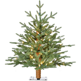 2' Pre-Lit Green Alpine Artificial Accent Tree with Warm White LED Lights