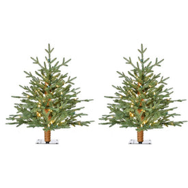 2' Pre-Lit Green Alpine Artificial Accent Trees with Warm White LED Lights Set of 2