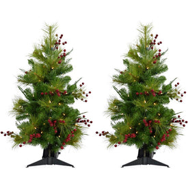 2' Pre-Lit Mixed Pine and Red Berry Accent Trees with Battery-Operated LED Lights Set of 2