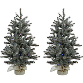 4' Pre-Lit Yardville Pine Artificial Accent Trees with Burlap Base with Multi-Color LED Lights Set of 2
