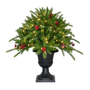 FF004PT-024-5GR Holiday/Christmas/Christmas Trees