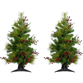 3' Pre-Lit Mixed Pine and Red Berry Accent Trees with Battery-Operated LED Lights Set of 2