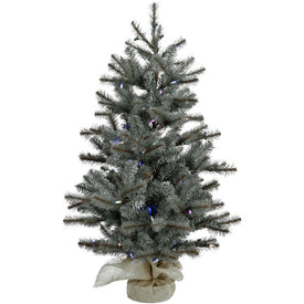4' Pre-Lit Yardville Pine Artificial Accent Tree with Burlap Base with Multi-Color LED Lights