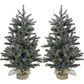 3' Pre-Lit Yardville Pine Artificial Accent Trees with Burlap Base with Multi-Color LED Lights Set of 2