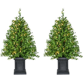 4' Pre-Lit Artificial Boxwood Tree in Black Pot with Warm White LED Lights Set of 2